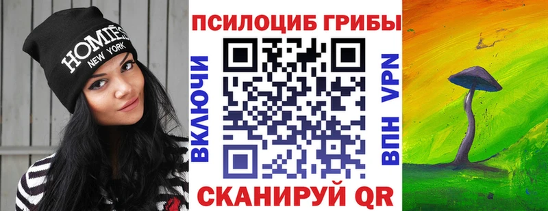 Псилоцибиновые грибы Cubensis  Купить  Обнинск 